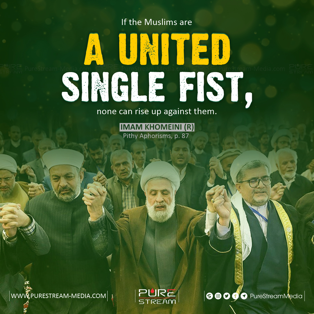 If the Muslims are a united single fist…