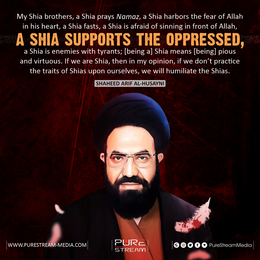 My Shia brothers, a Shia prays Namaz…