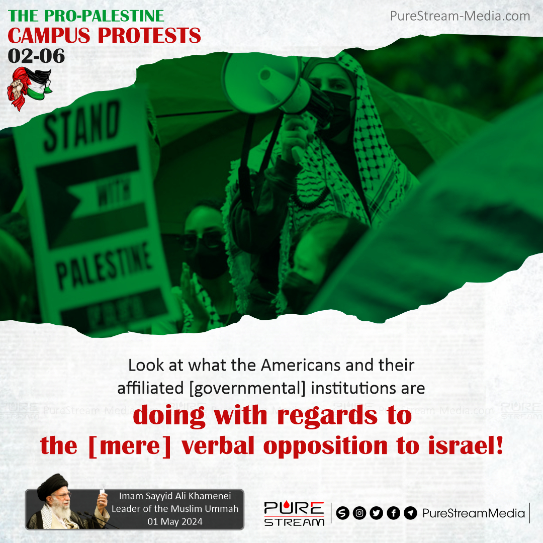 The Pro-Palestine Campus Protests